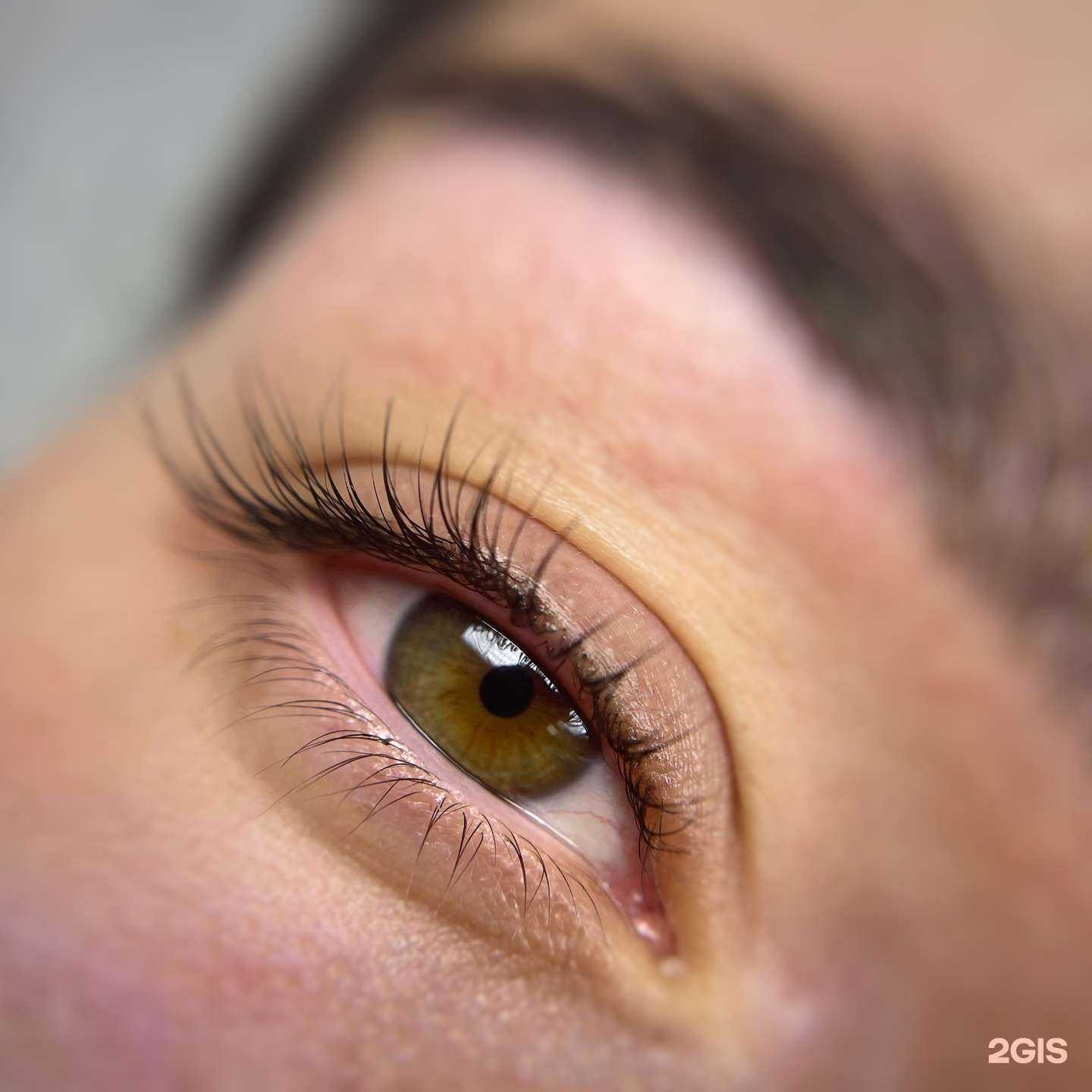 Отзывы на компанию lamiberla в Тольятти c фото