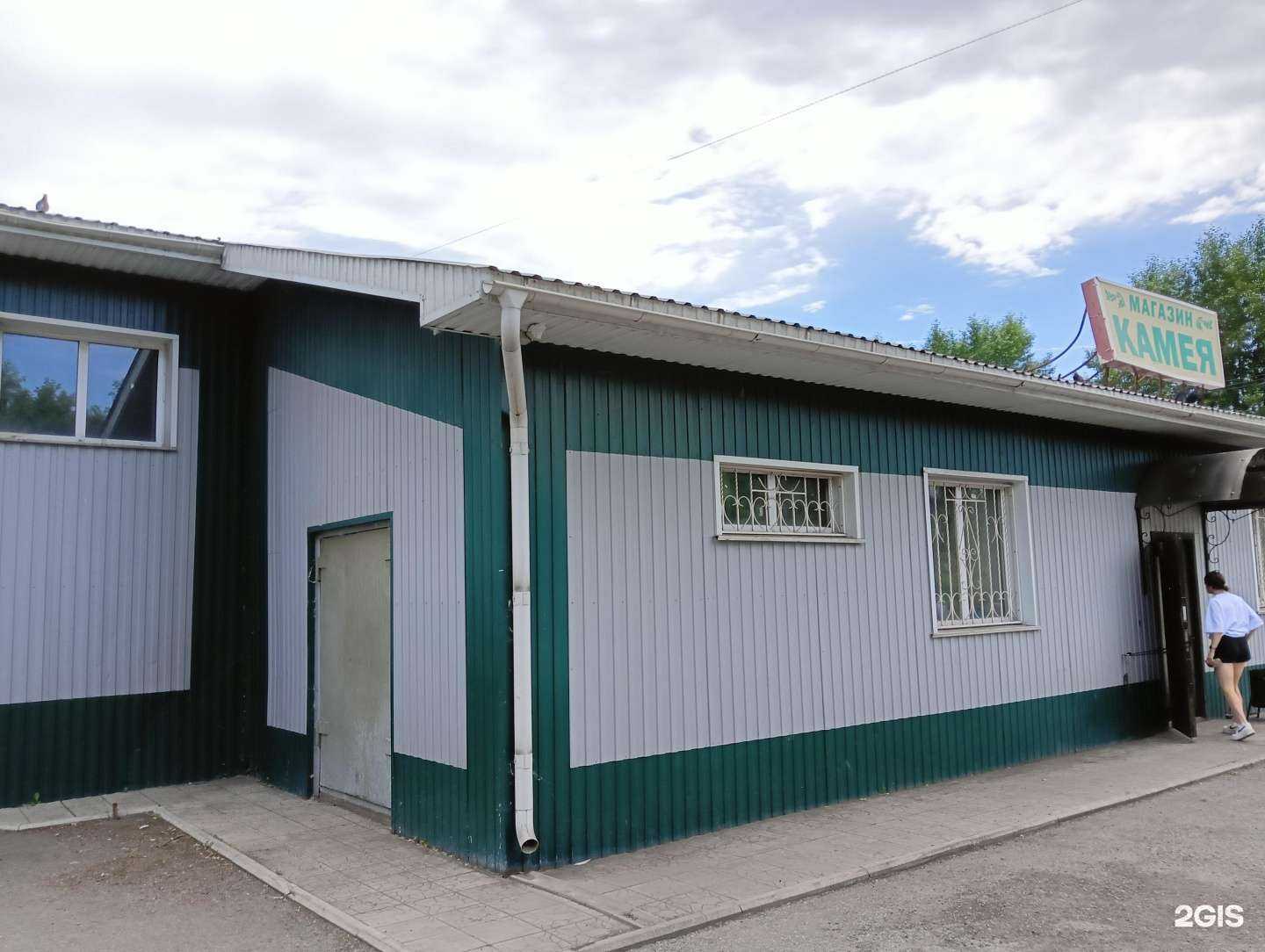 Отзывы на компанию Приют для бездомных животных в Прокопьевске c фото