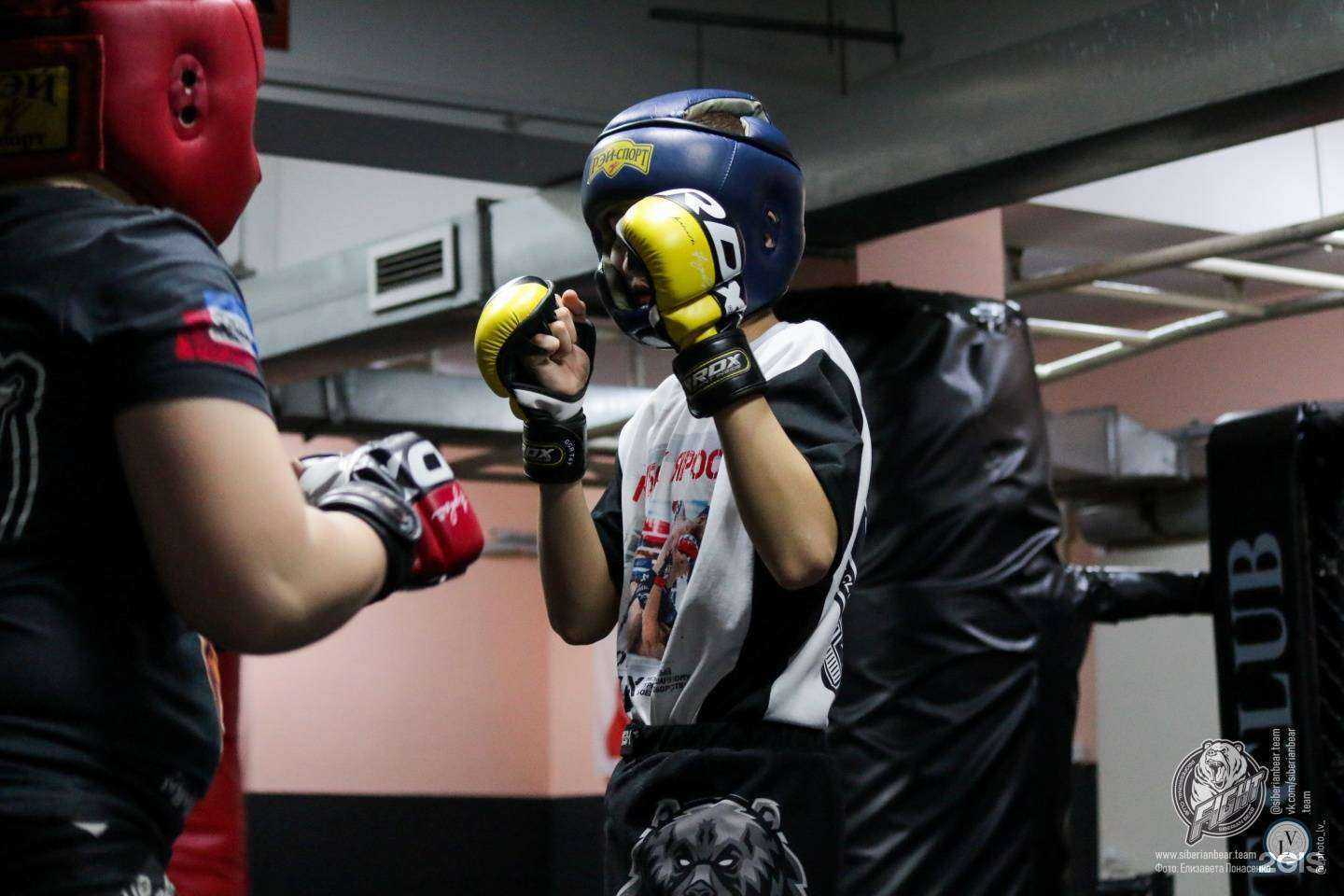 Отзывы на компанию Сибирский Медведь в Иркутске c фото