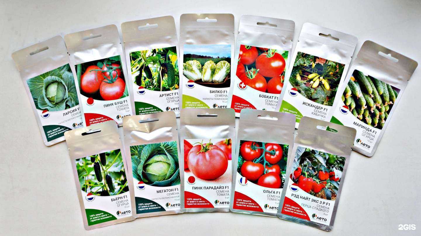 Отзывы на компанию Лето в Ижевске c фото