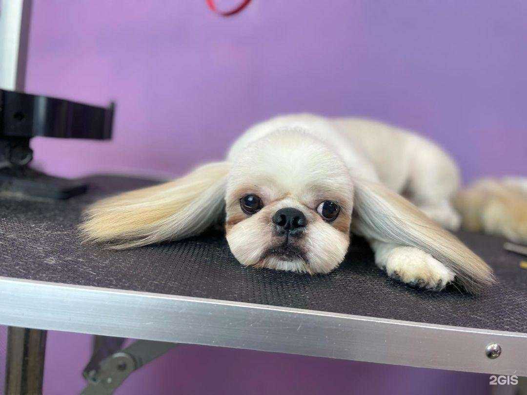 Отзывы на компанию Тиффани в Орехово-Зуеве c фото