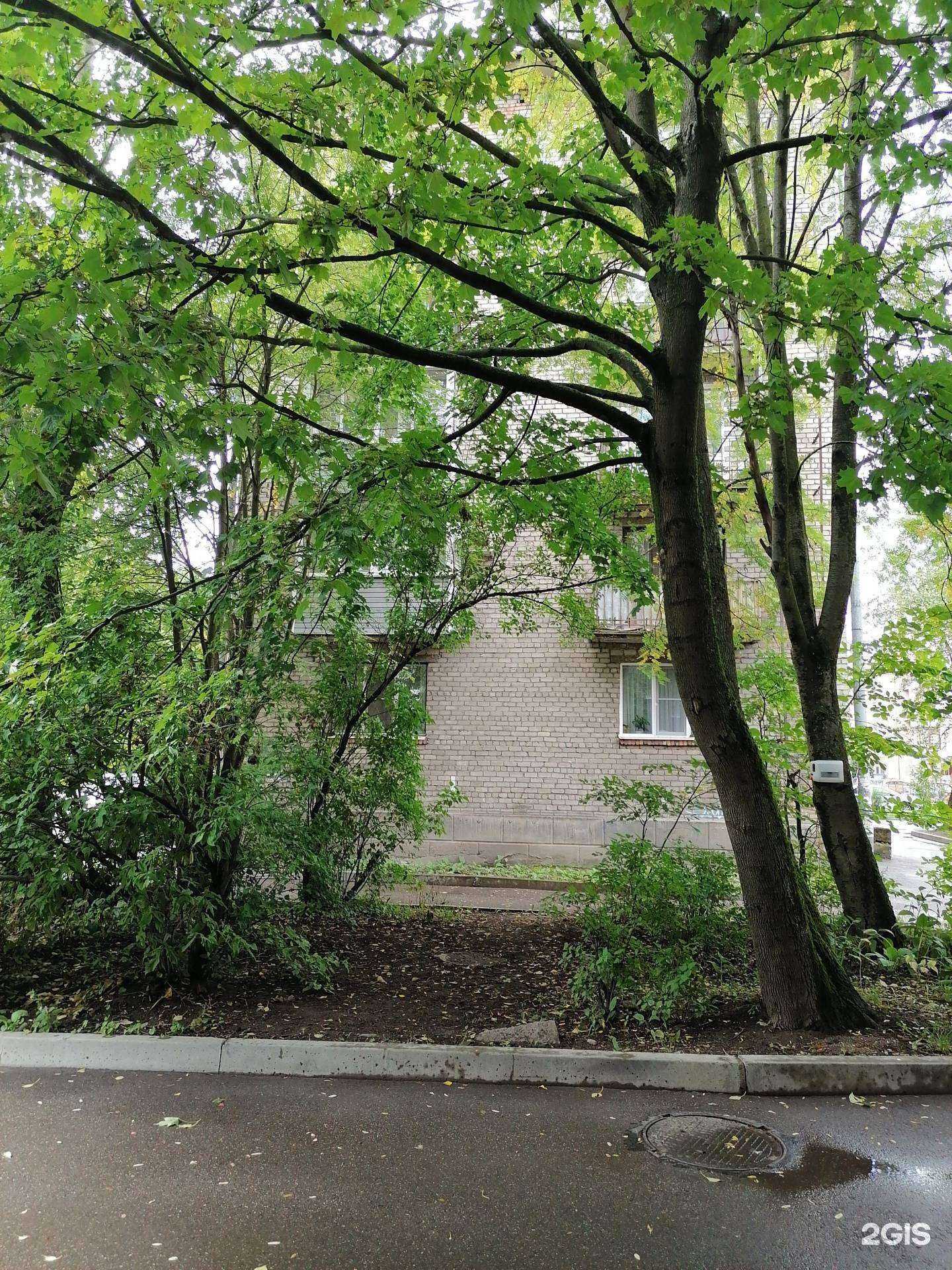 Отзывы на компанию Вуккат в Выборге c фото - фотография 2 из 2