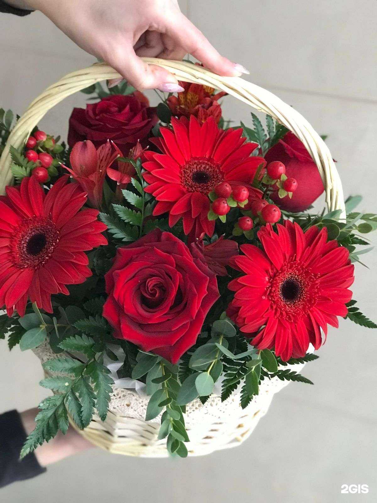 Отзывы на компанию Гранд Флора в Пятигорске c фото