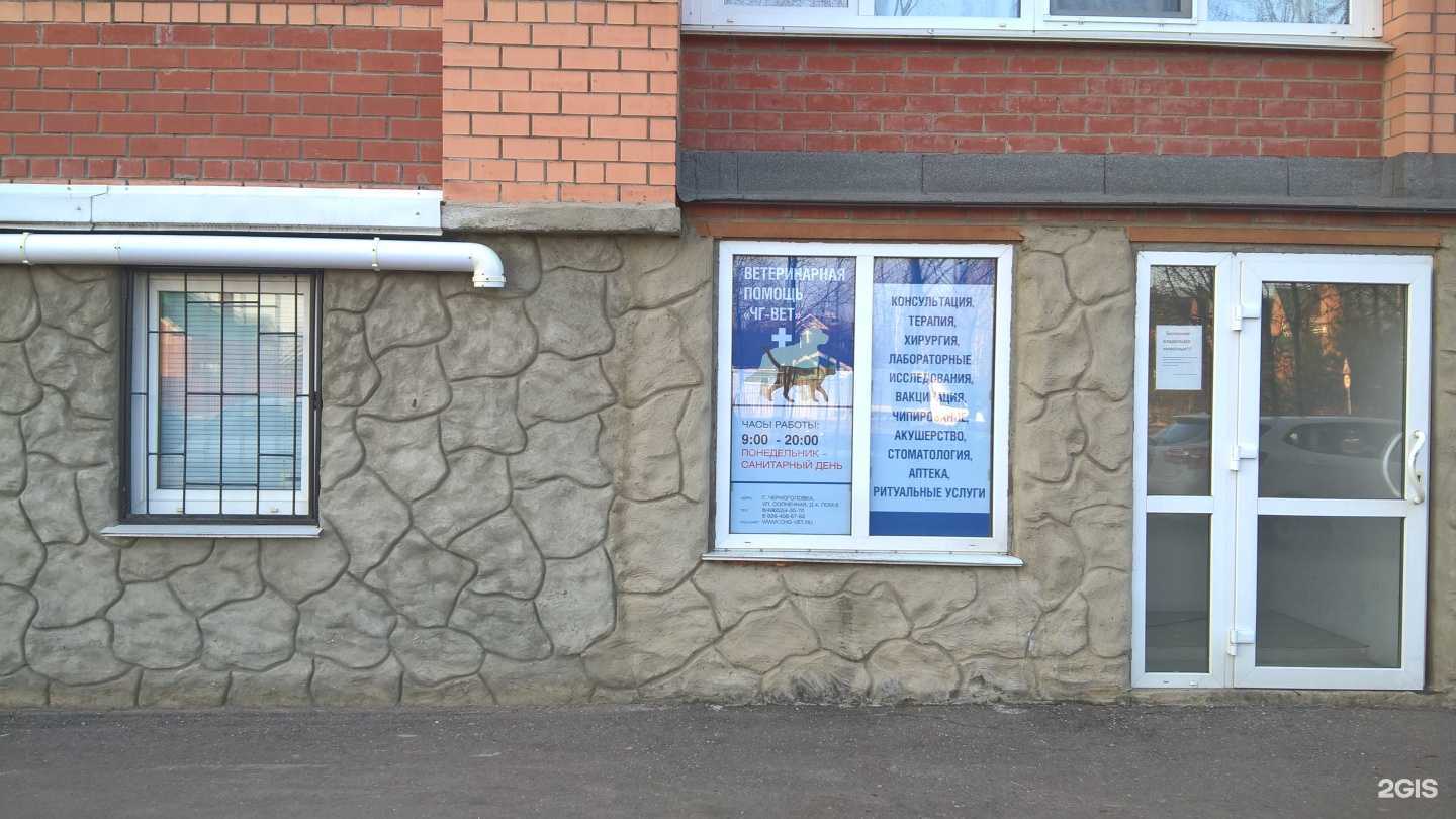 Отзывы на компанию Чг-вет в г. Черноголовка c фото