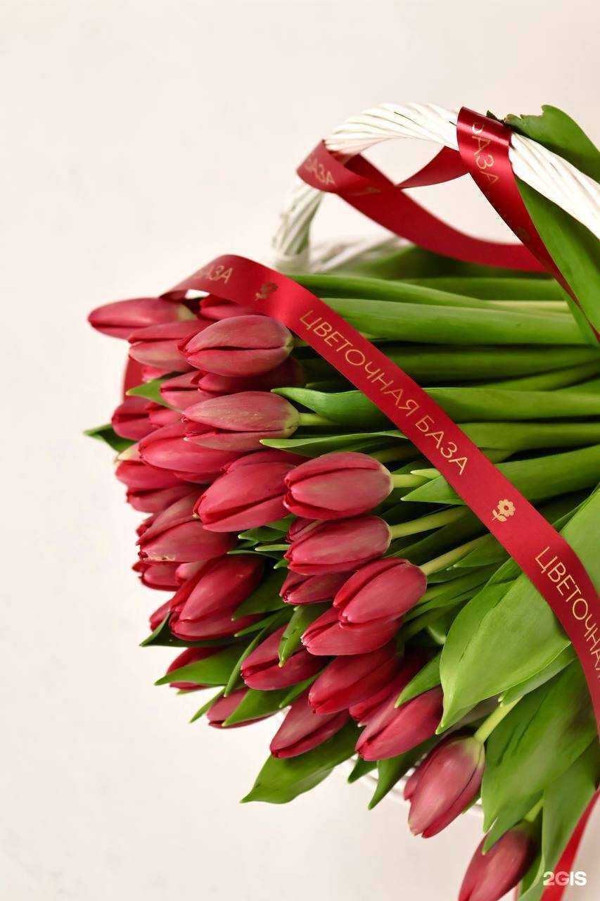 Отзывы на компанию Цветочная база в г. Архангельск c фото