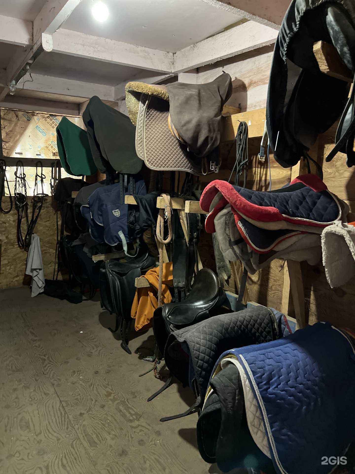 Отзывы на компанию Кентавр в Сочи c фото