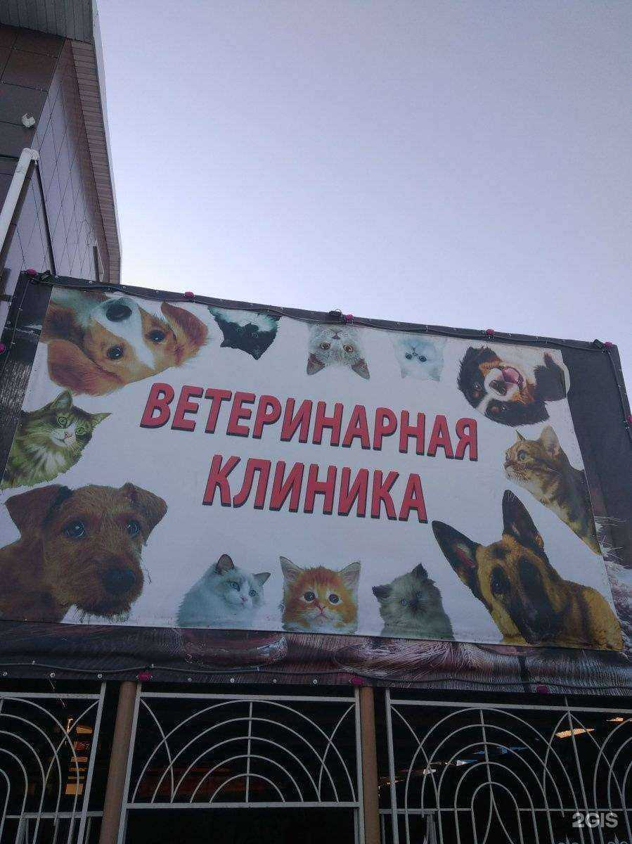 Отзывы на компанию Зоовет в Иванове c фото