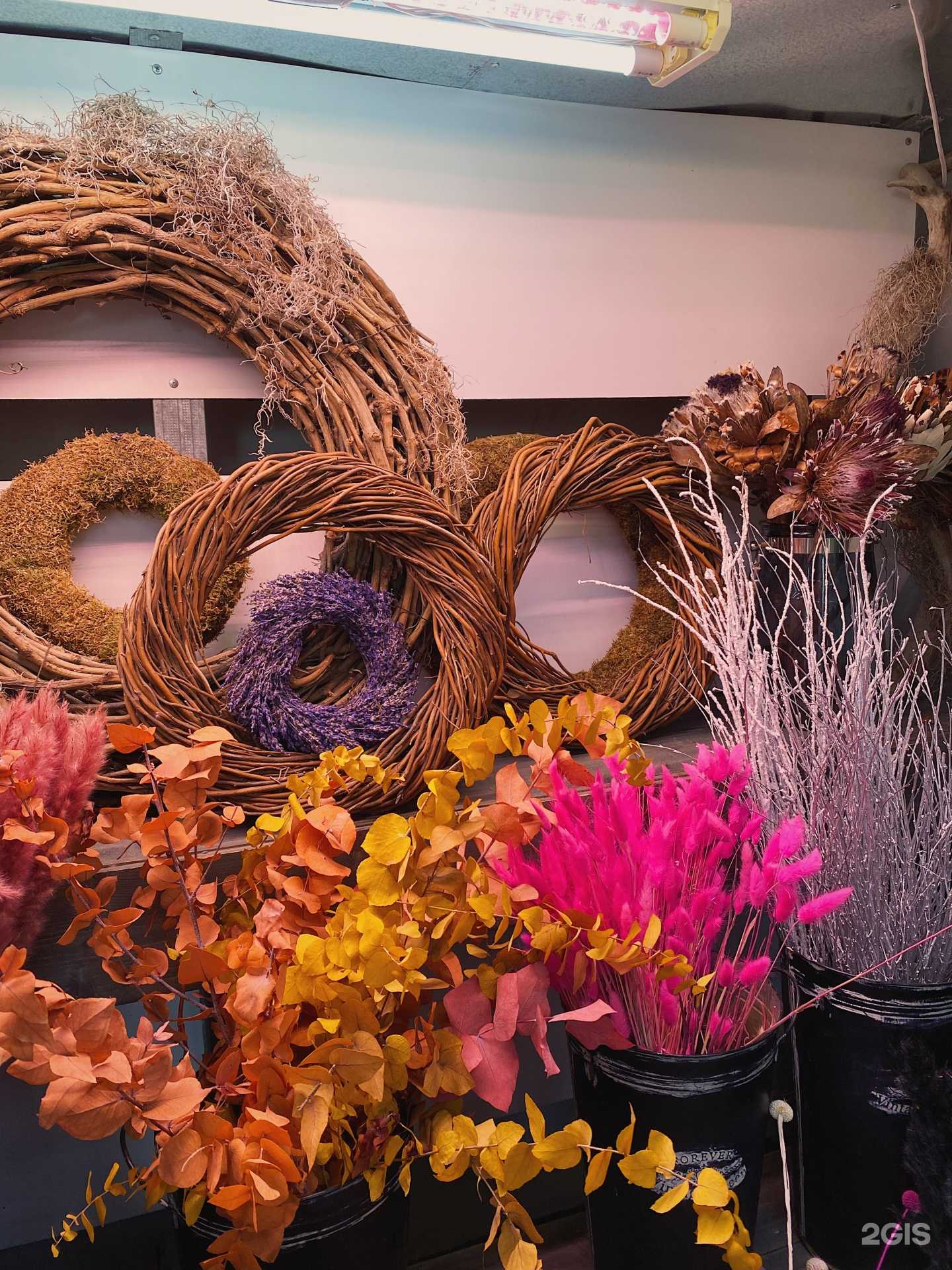 Отзывы на компанию Рускус в Волгограде c фото