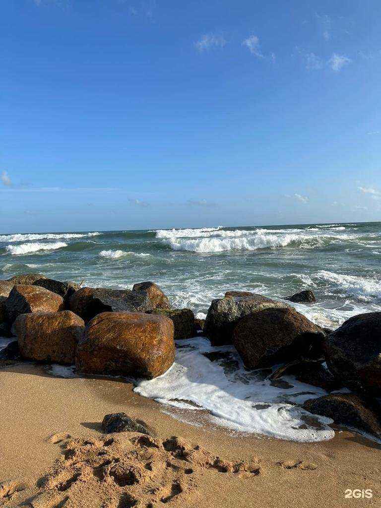 Отзывы на компанию Kings Travel Group в г. Сургут c фото