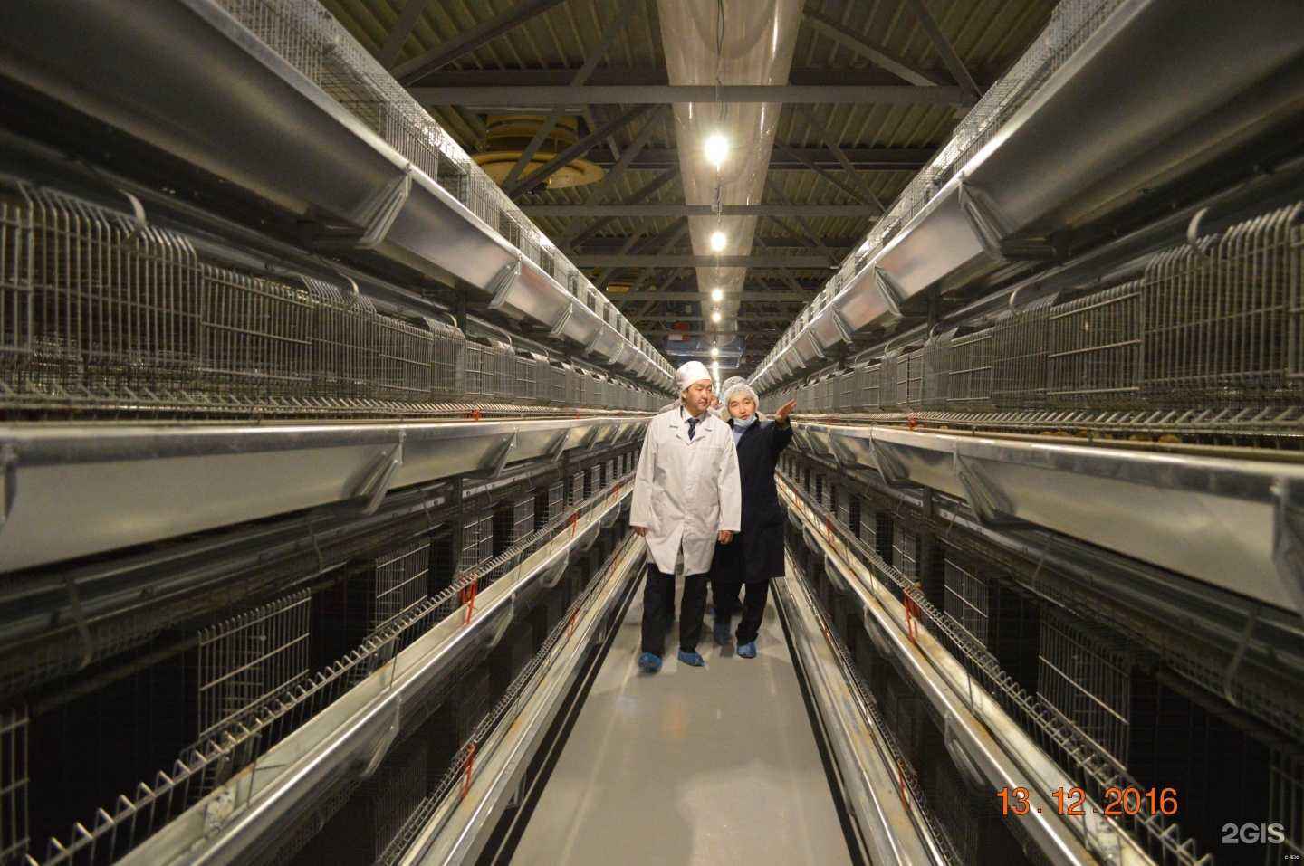 Отзывы на компанию Якутская Птицефабрика в Якутске c фото