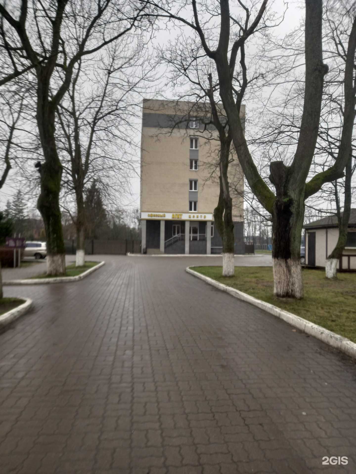 Отзывы на компанию It`s easy в Калининграде c фото