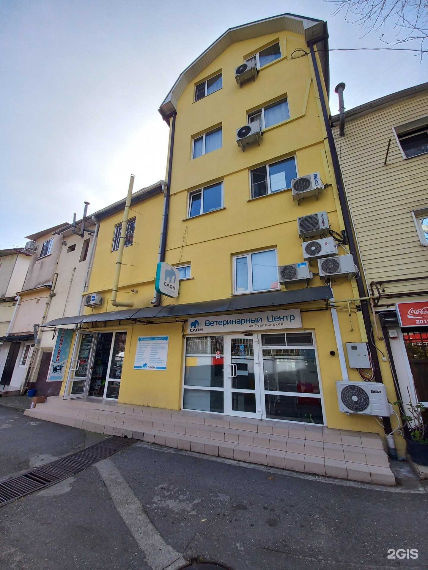 Отзывы на компанию Слон в Сочи c фото - фотография 2 из 2