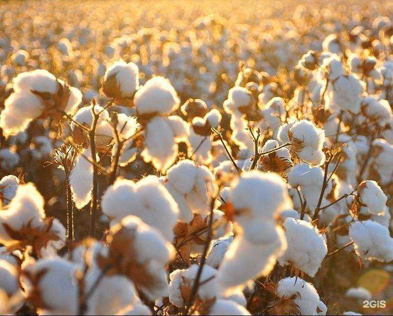 Отзывы на компанию Агротех гумат в Ангарске c фото