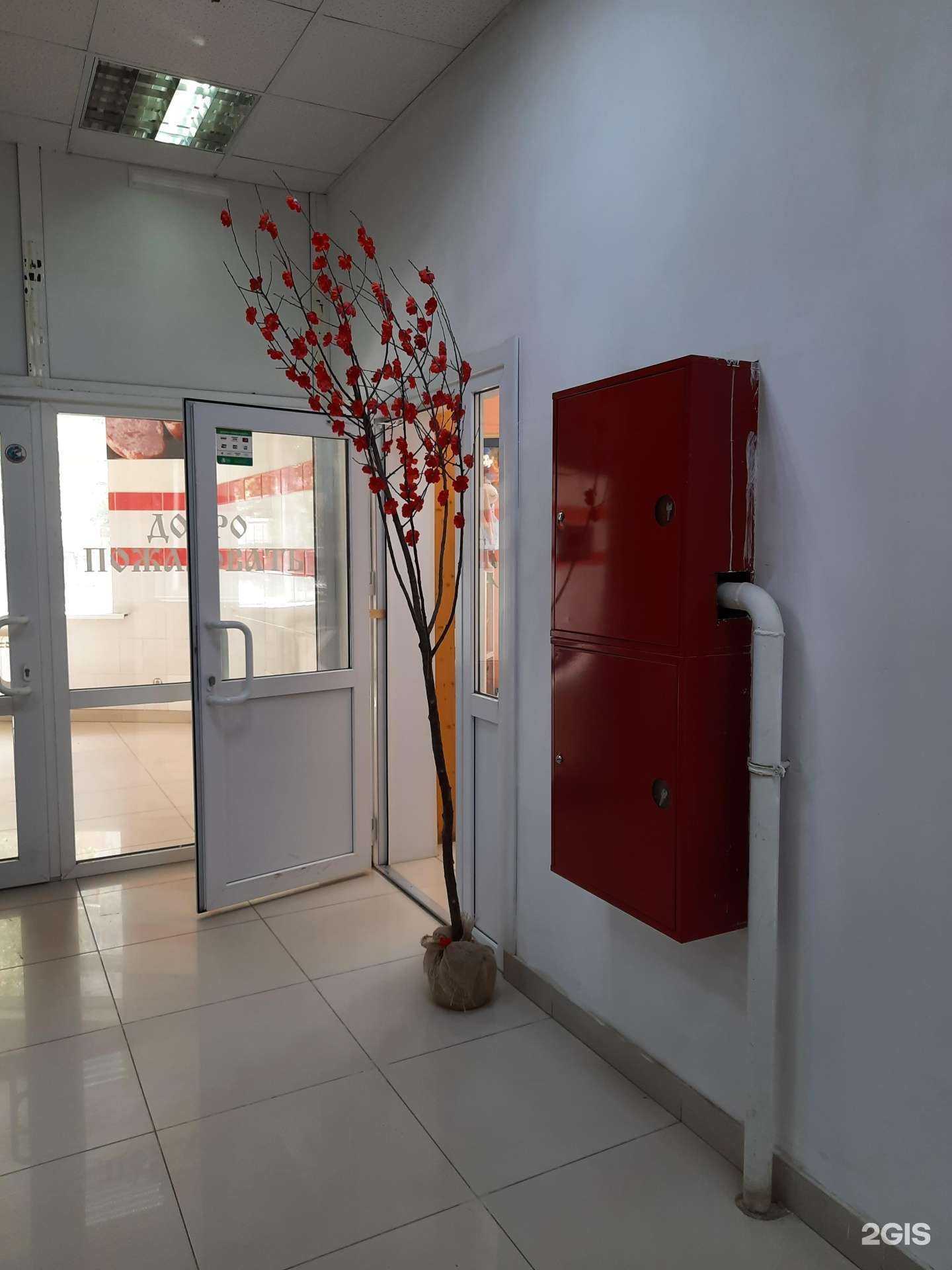 Отзывы на компанию Sovlin в Самаре c фото