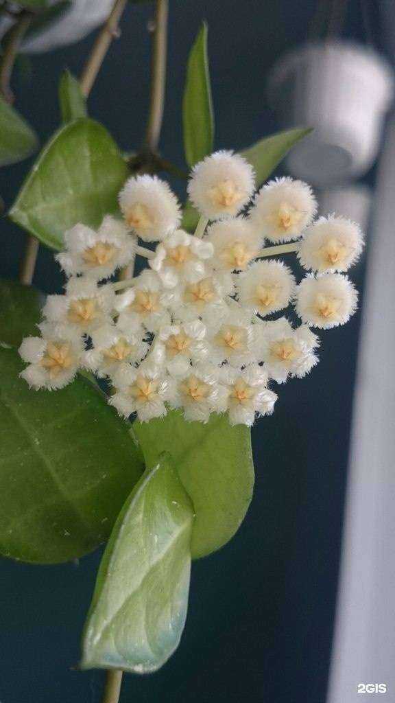 Отзывы на компанию Агроcад в г. Новосибирск c фото