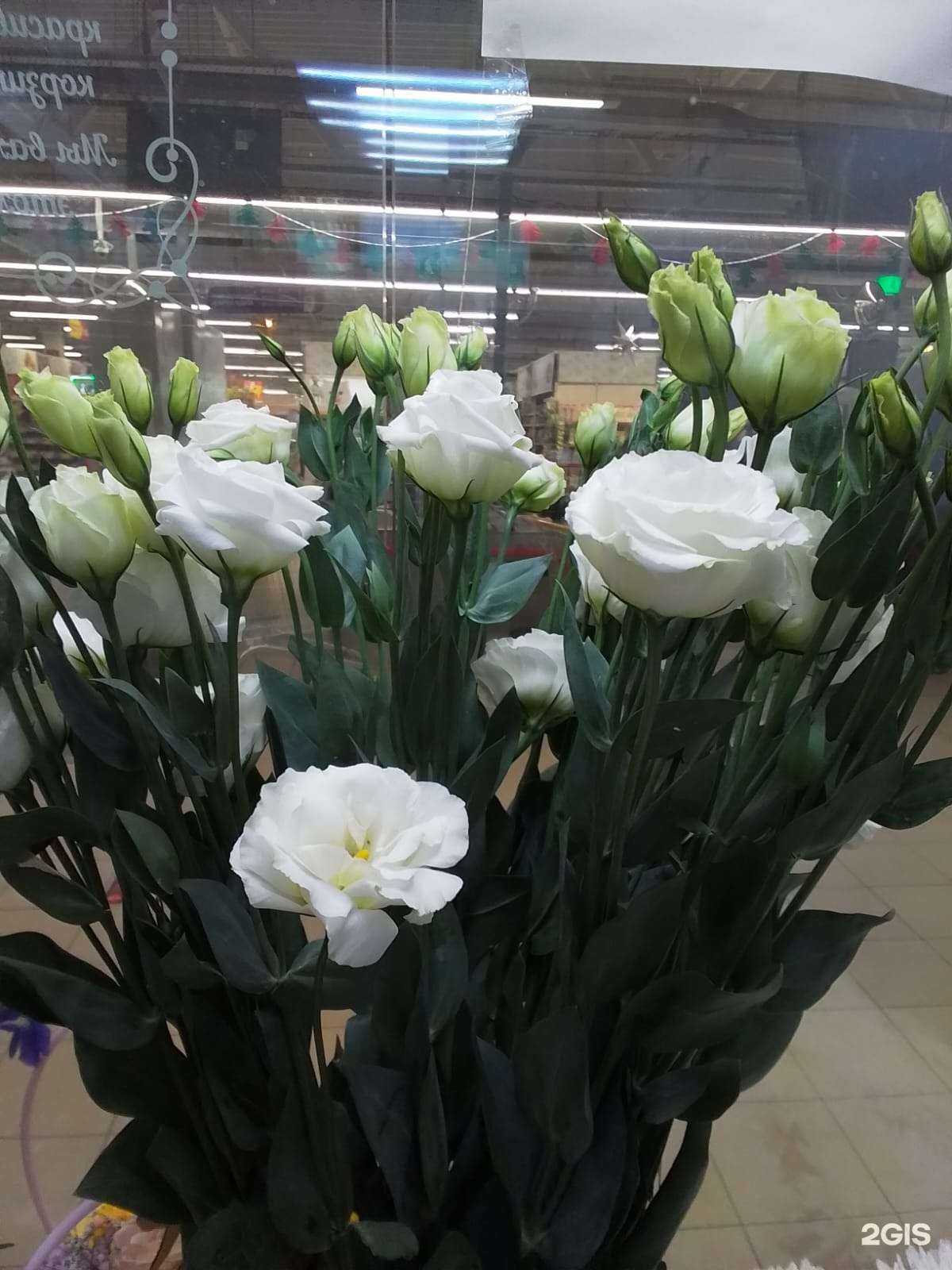 Отзывы на компанию Цветы для Вас в Петрозаводске c фото