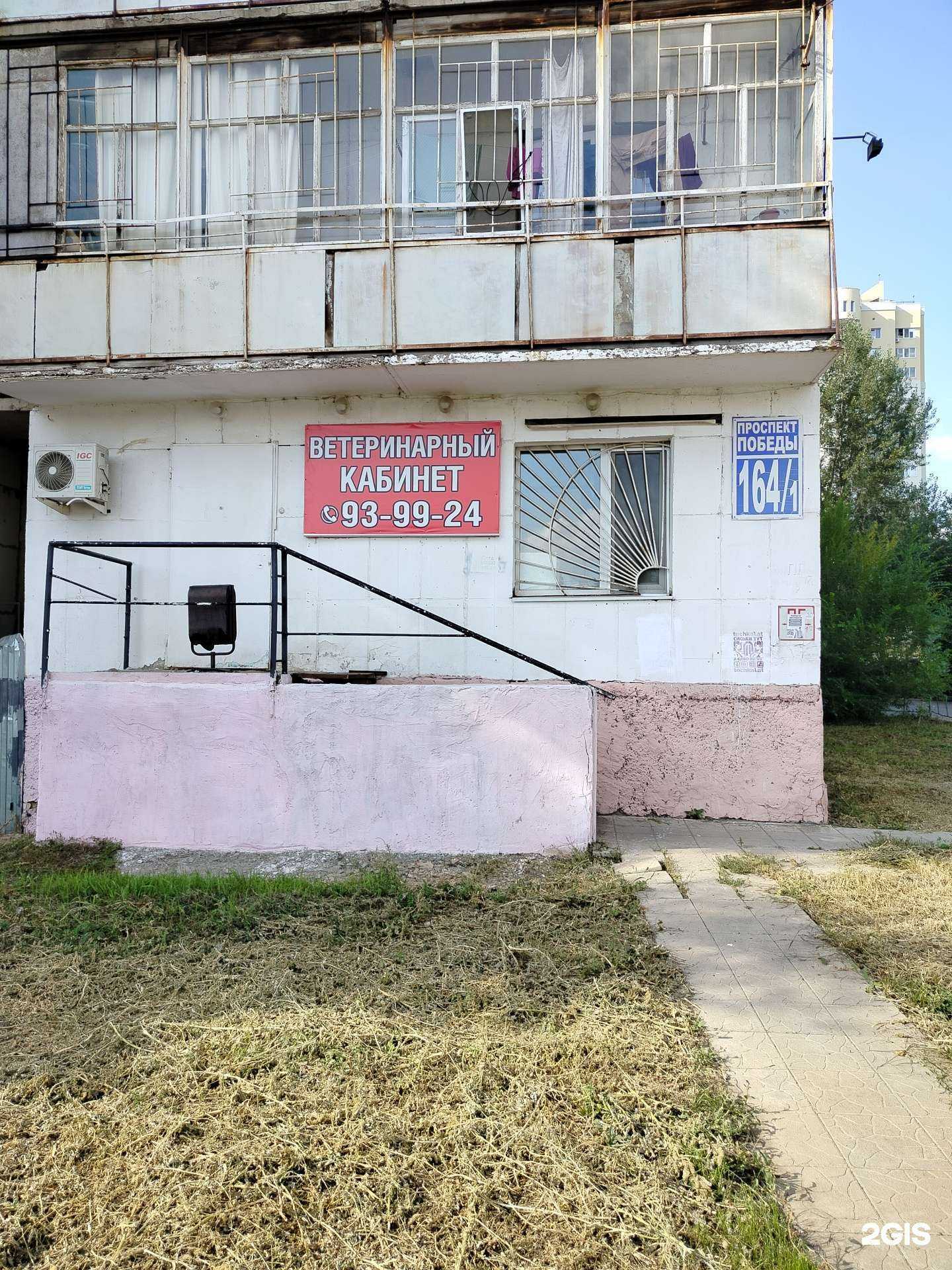 Отзывы на компанию ОренВет в г. Оренбург c фото