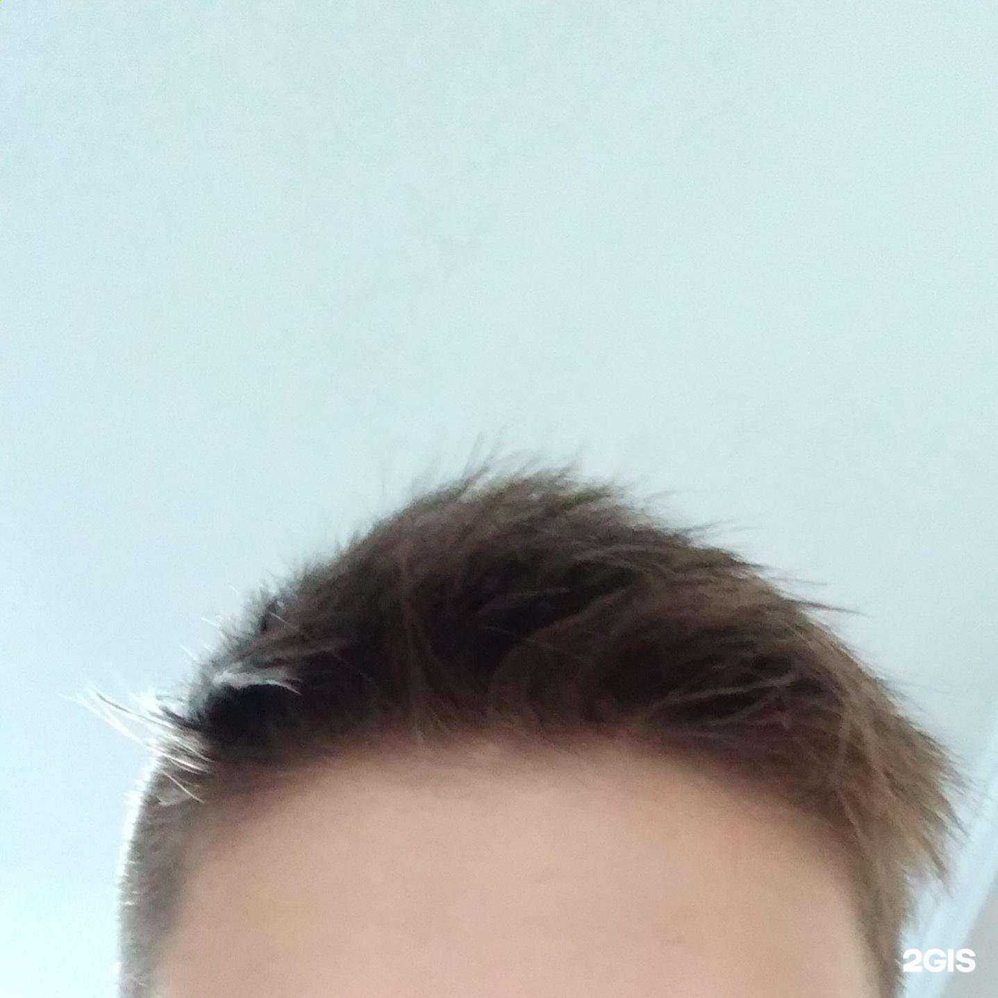 Отзывы на компанию Элита в г. Бийск c фото