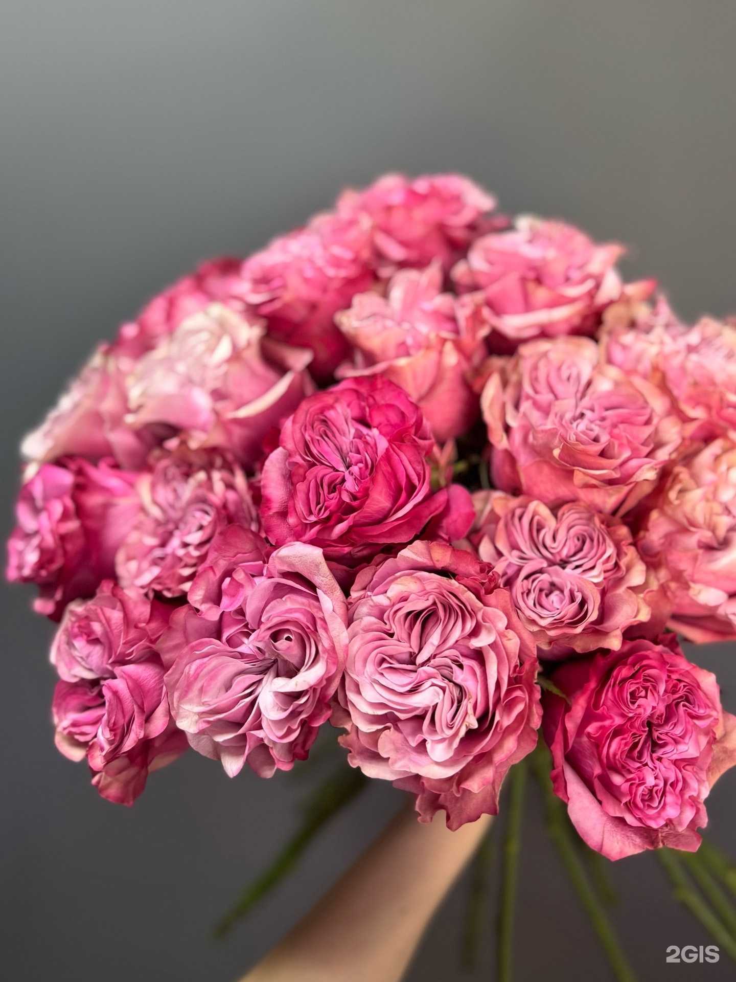 Отзывы на компанию Lepestki  в г. Ижевск c фото