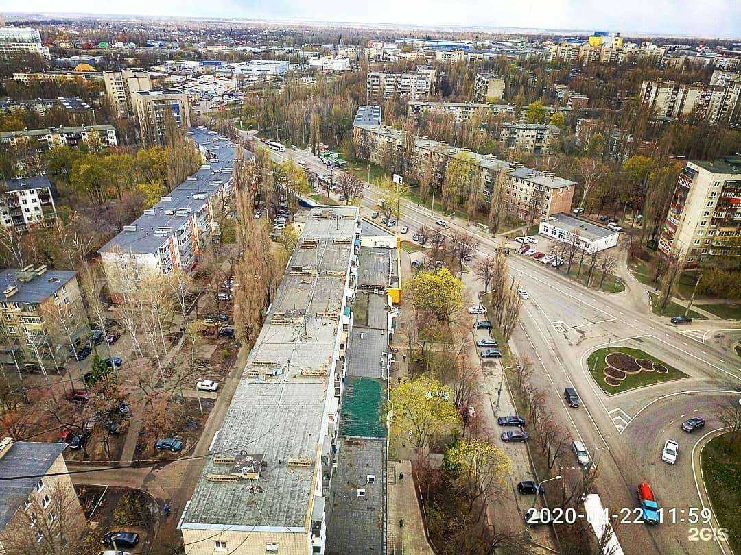 Отзывы на компанию Кошки-мышки в Липецке c фото - фотография 2 из 2