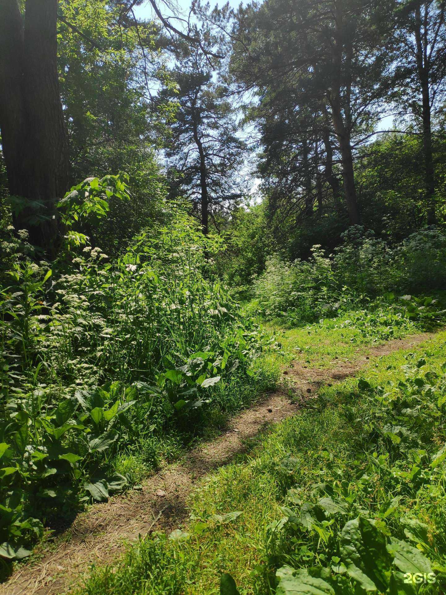 Отзывы на компанию Школа плавания Дарьи Морозовой в Кемерове c фото - фотография 2 из 2
