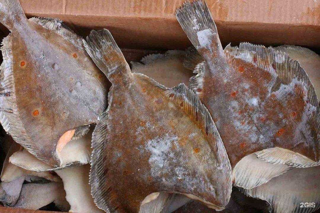 Отзывы на компанию Red fish Penza в г. Пенза c фото