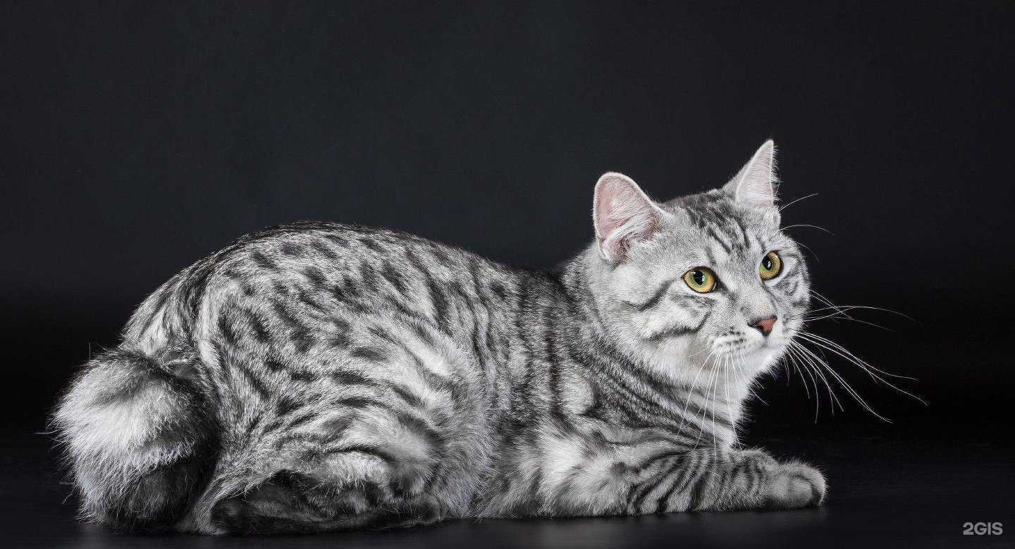 Отзывы на компанию Сиббиовет в г. Новосибирск c фото