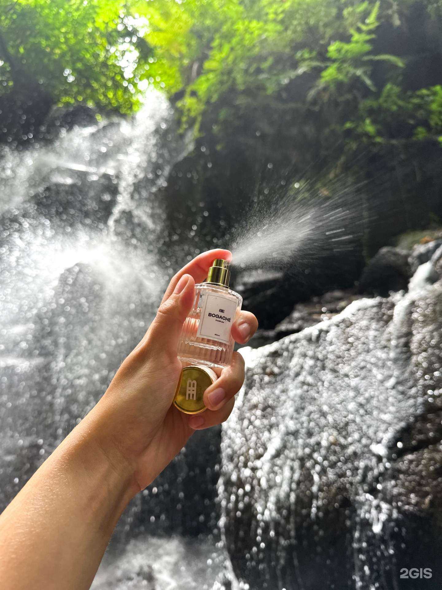 Отзывы на компанию Bogache` в Воронеже c фото