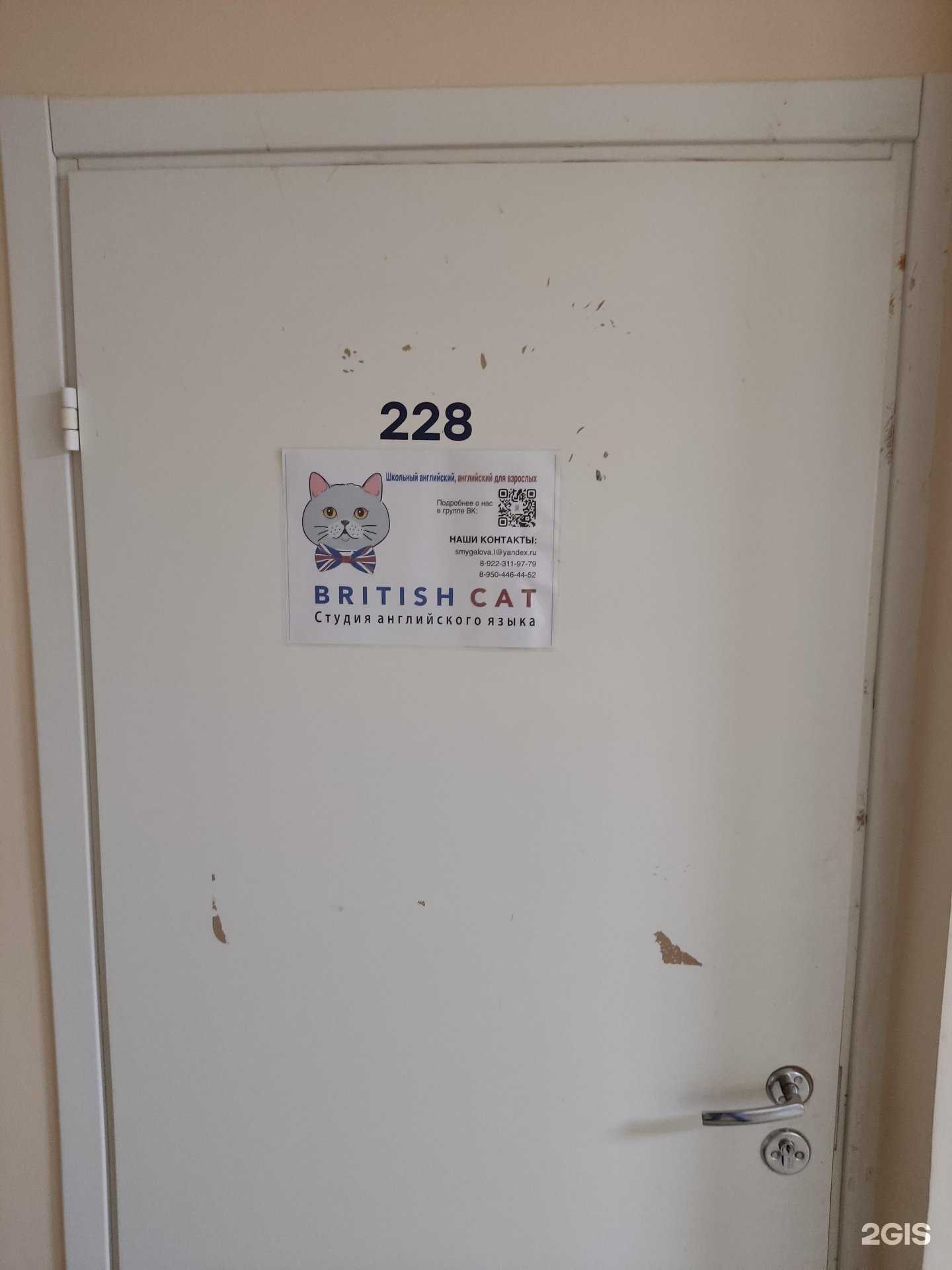 Отзывы на компанию British Cat в г. Пермь c фото