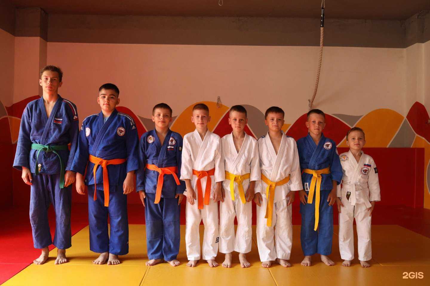 Отзывы на компанию TIGER в Красноярске c фото