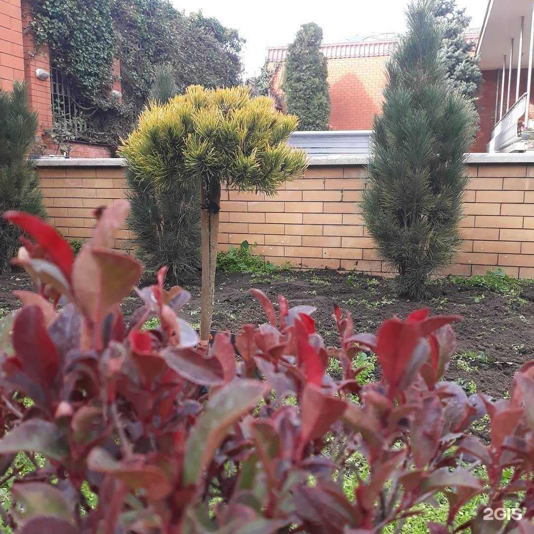 Отзывы на компанию Зеленый сад в г. Махачкала c фото