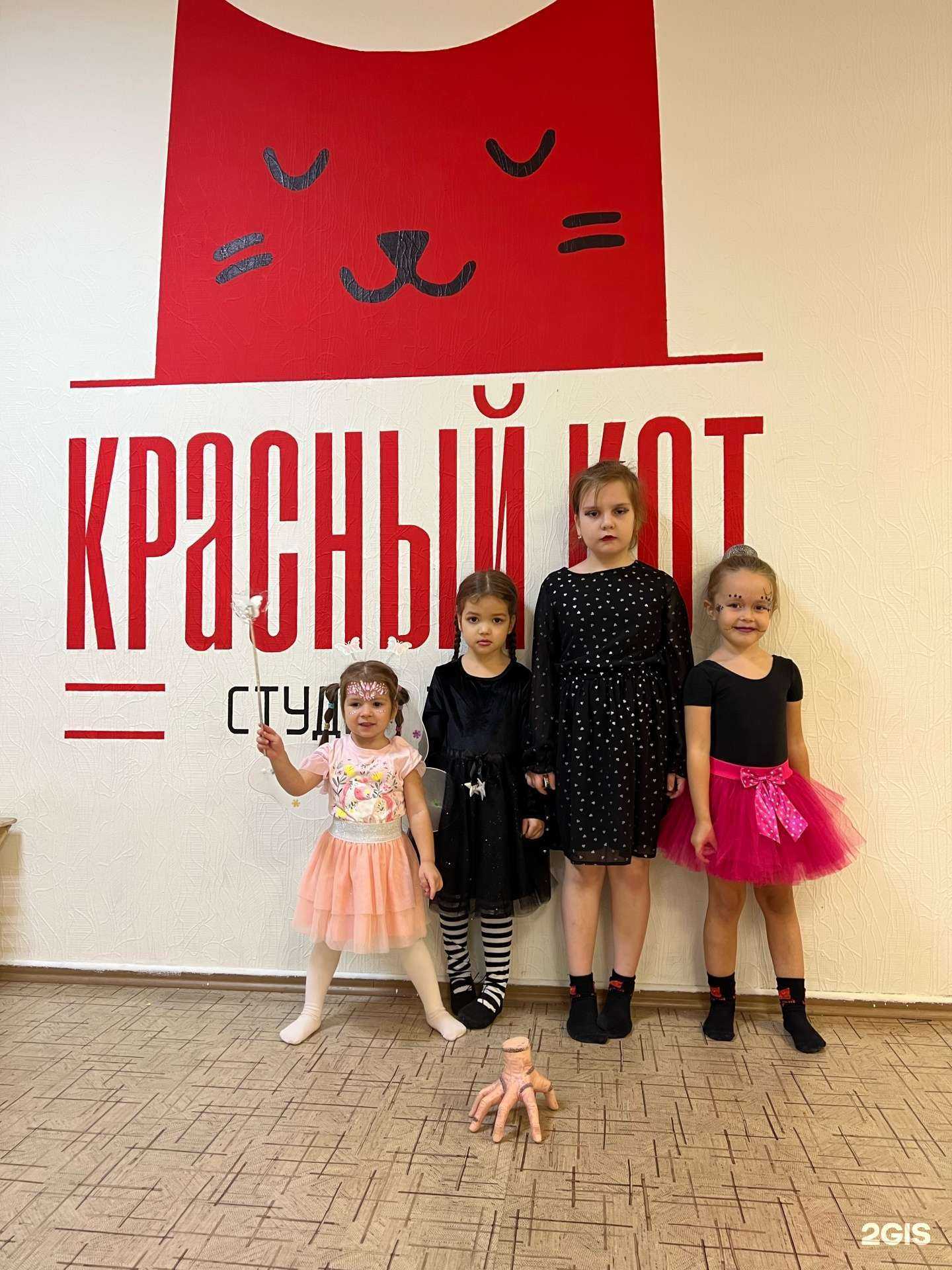 Отзывы на компанию Красный кот в Набережных Челнах c фото