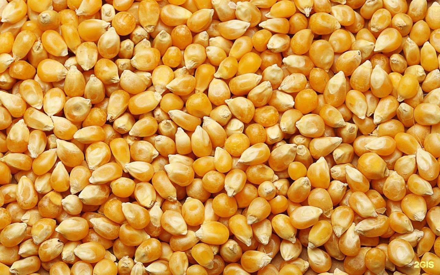 Отзывы на компанию Магазин комбикормов и зерновых в Кыштыме c фото