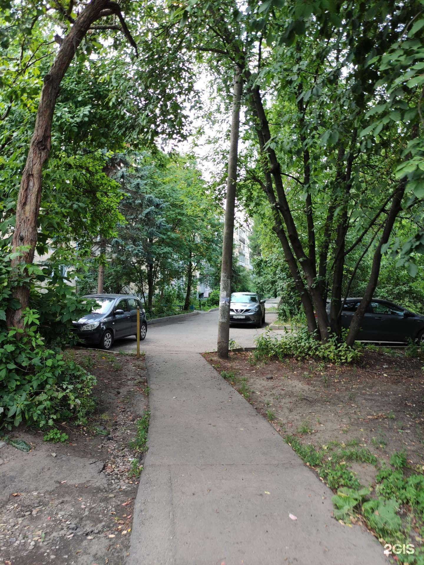 Отзывы на компанию Groomingcat в Ивантеевке c фото - фотография 2 из 2