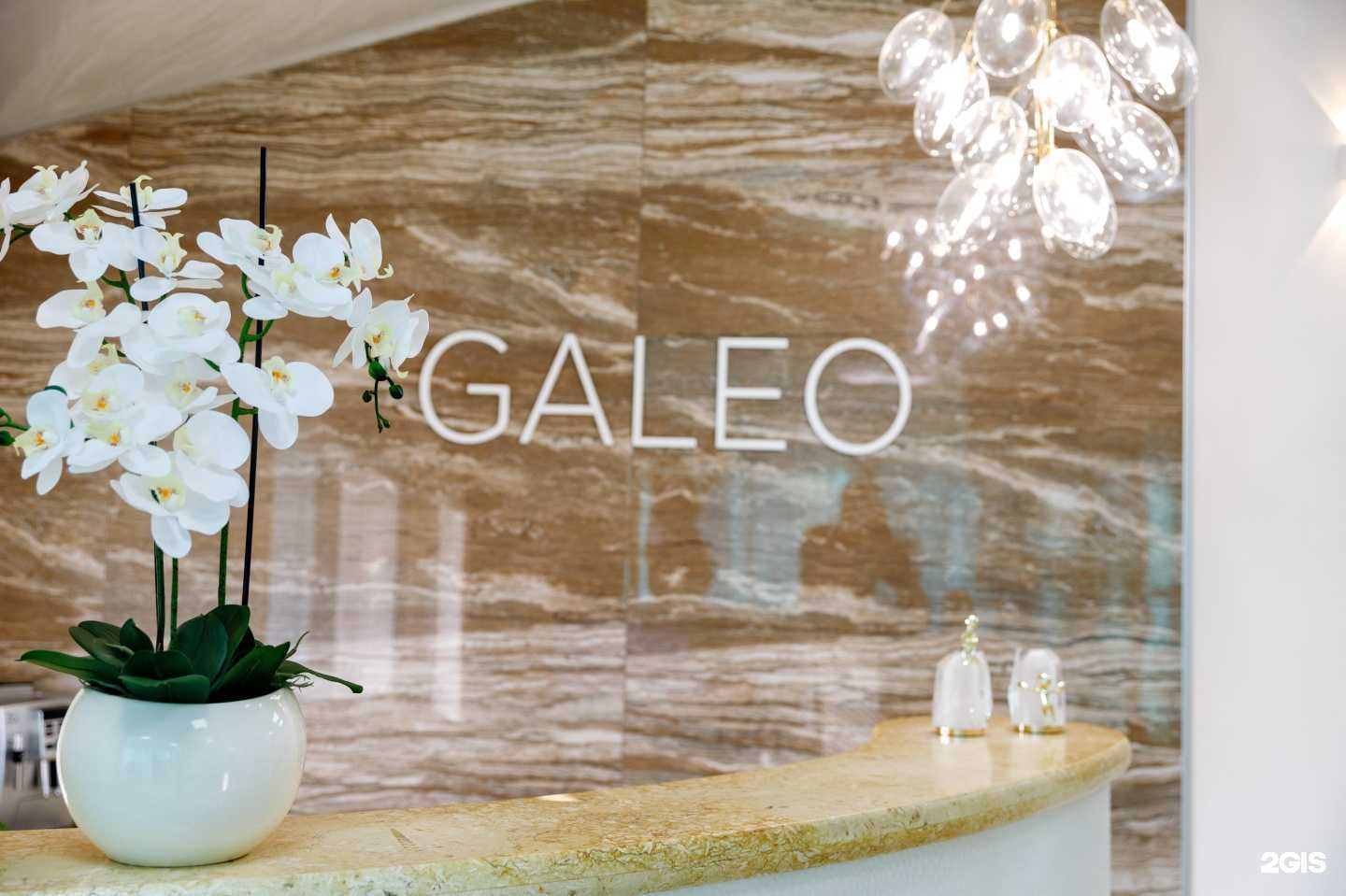 Отзывы на компанию Galeo в Владивостоке c фото