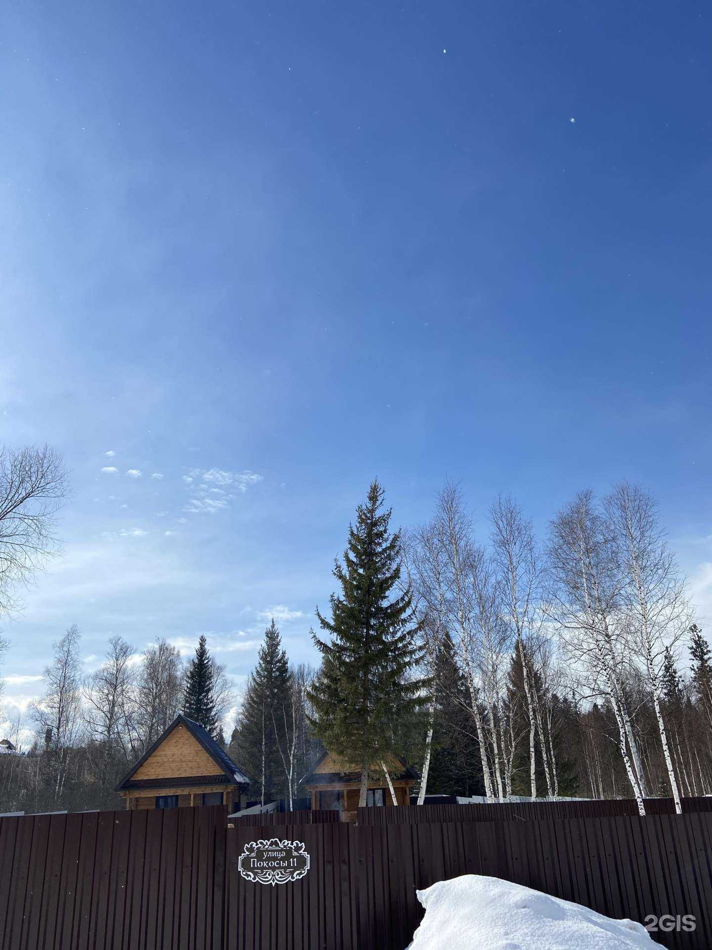 Отзывы на компанию Елки-Иголки в г. Томск c фото