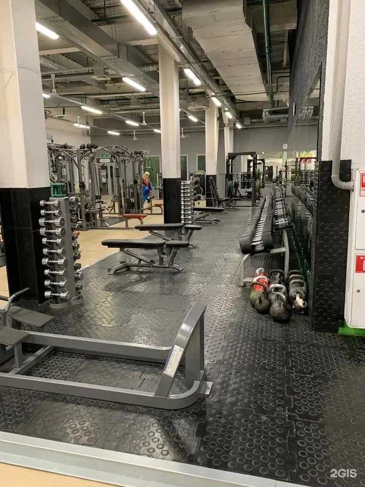 Отзывы на компанию ALEX FITNESS в г. Пенза c фото