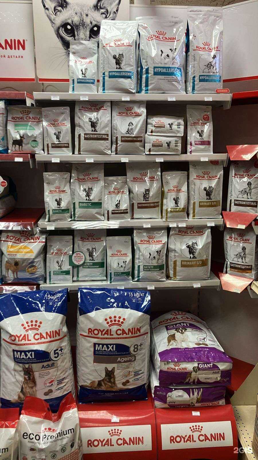 Отзывы на компанию Зоологика в Красноярске c фото