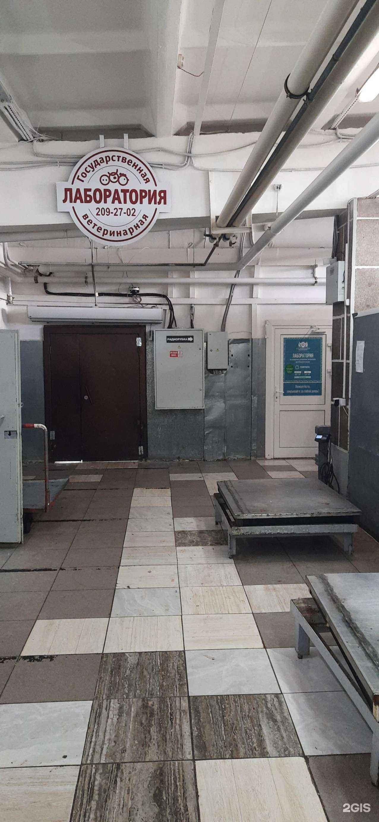 Отзывы на компанию Управление ветеринарии г. Новосибирска в г. Новосибирск c фото