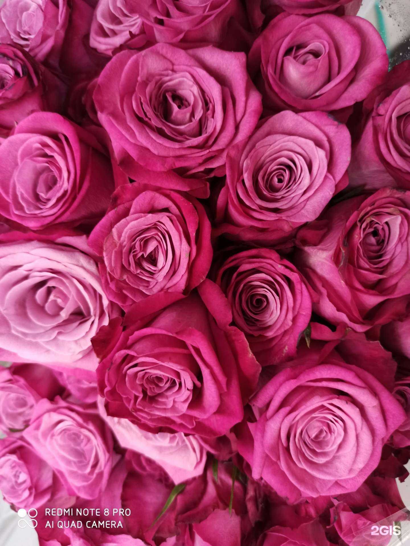 Отзывы на компанию Просто цветы в г. Омск c фото