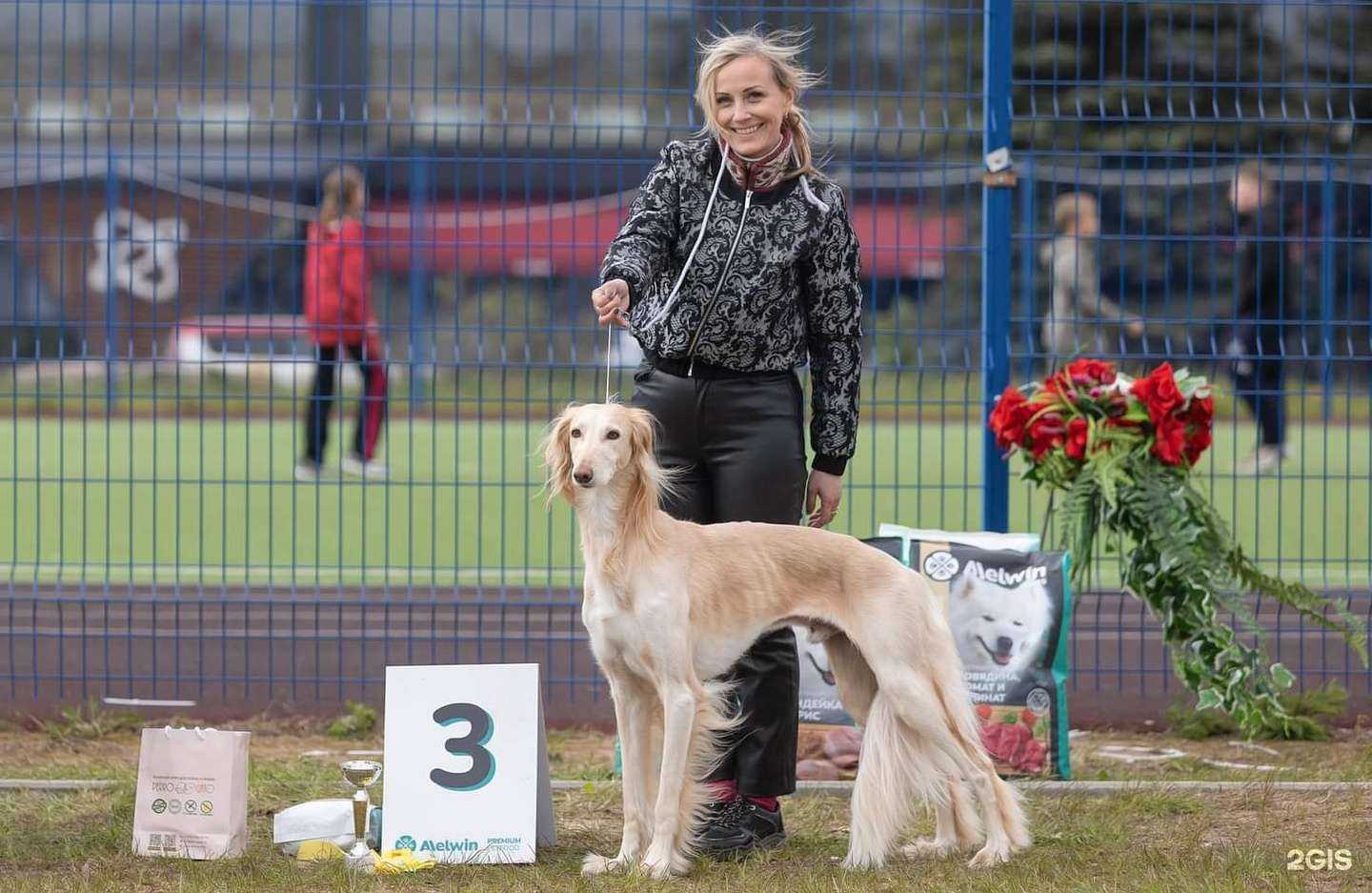 Отзывы на компанию Dog Gym в Всеволожске c фото
