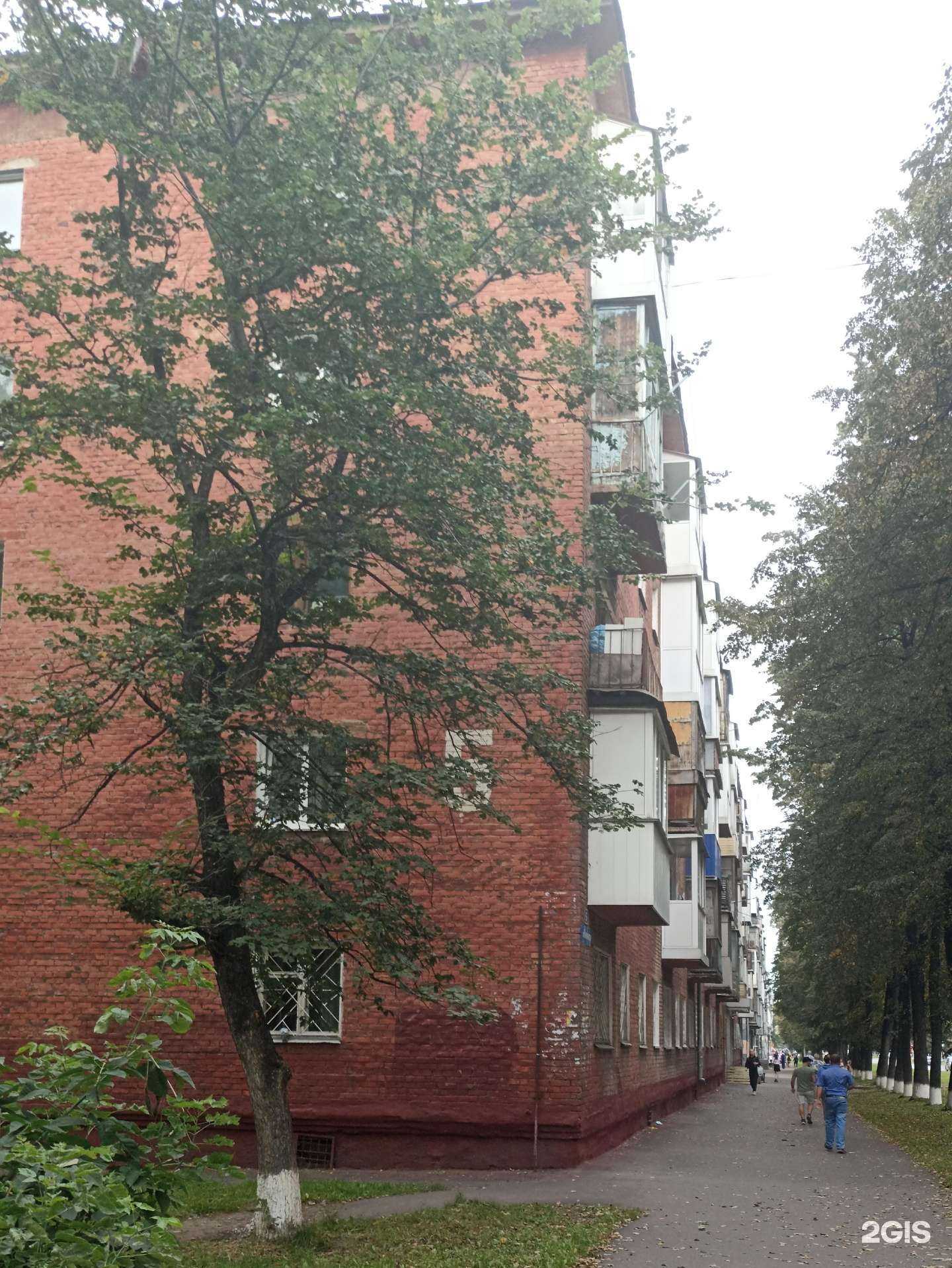 Отзывы на компанию КУПЕЦ в Кемерове c фото - фотография 2 из 2