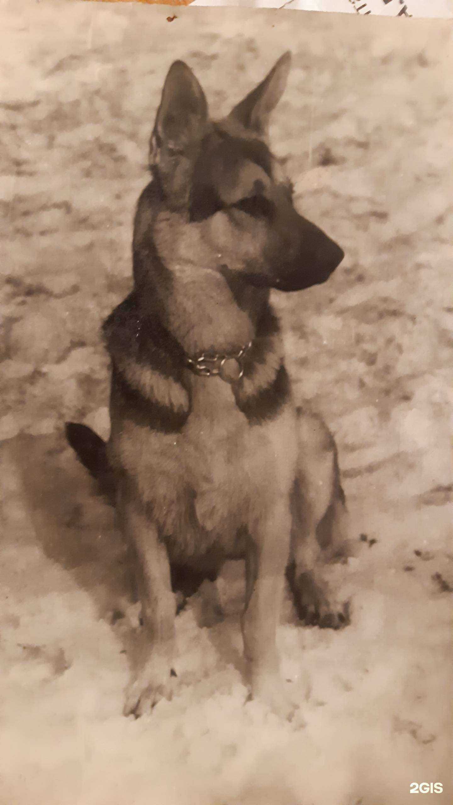 Отзывы на компанию Орфей в Самаре c фото