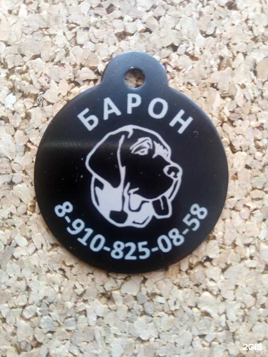 Отзывы на компанию Стам в Ярославле c фото