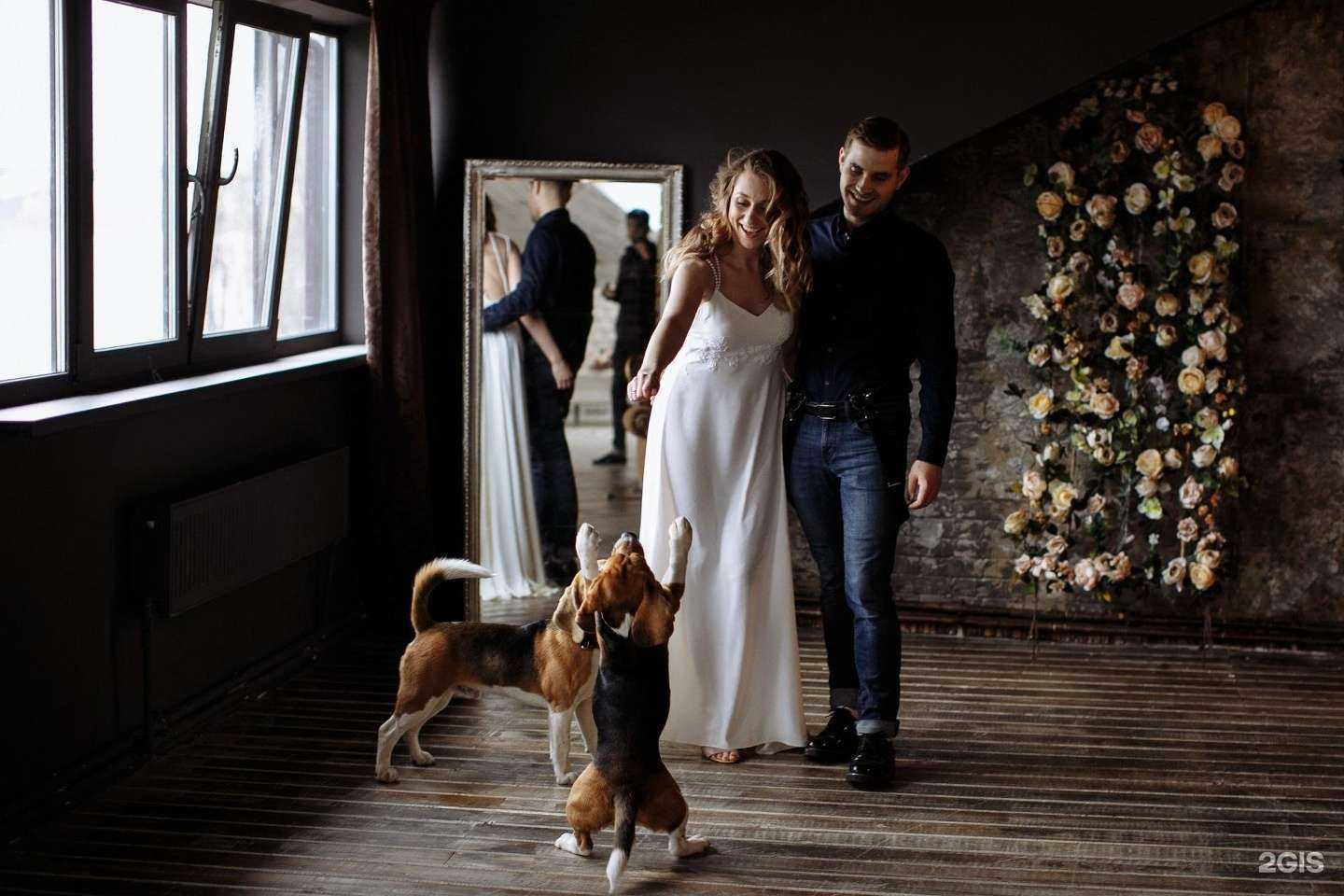 Отзывы на компанию Корица в Нижнем Новгороде c фото