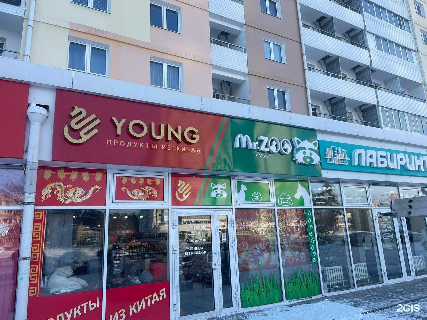 Отзывы на компанию Young в Ангарске c фото