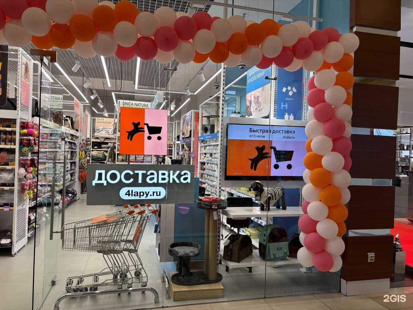 Отзывы на компанию Четыре лапы в Сургуте c фото