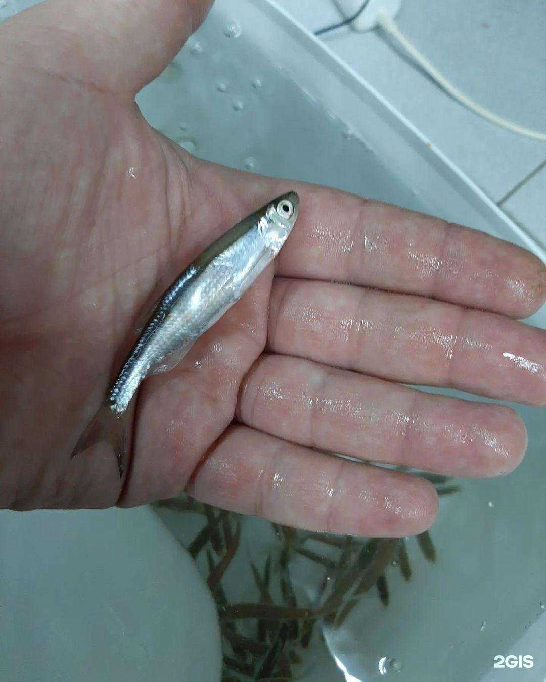 Отзывы на компанию Поплавок в Саранске c фото