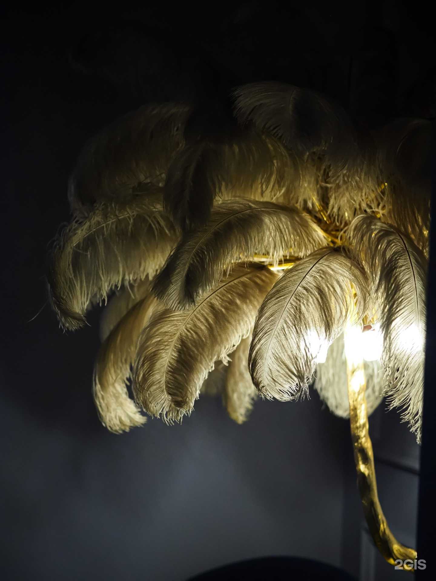 Отзывы на компанию Tease Me в Новом Уренгое c фото