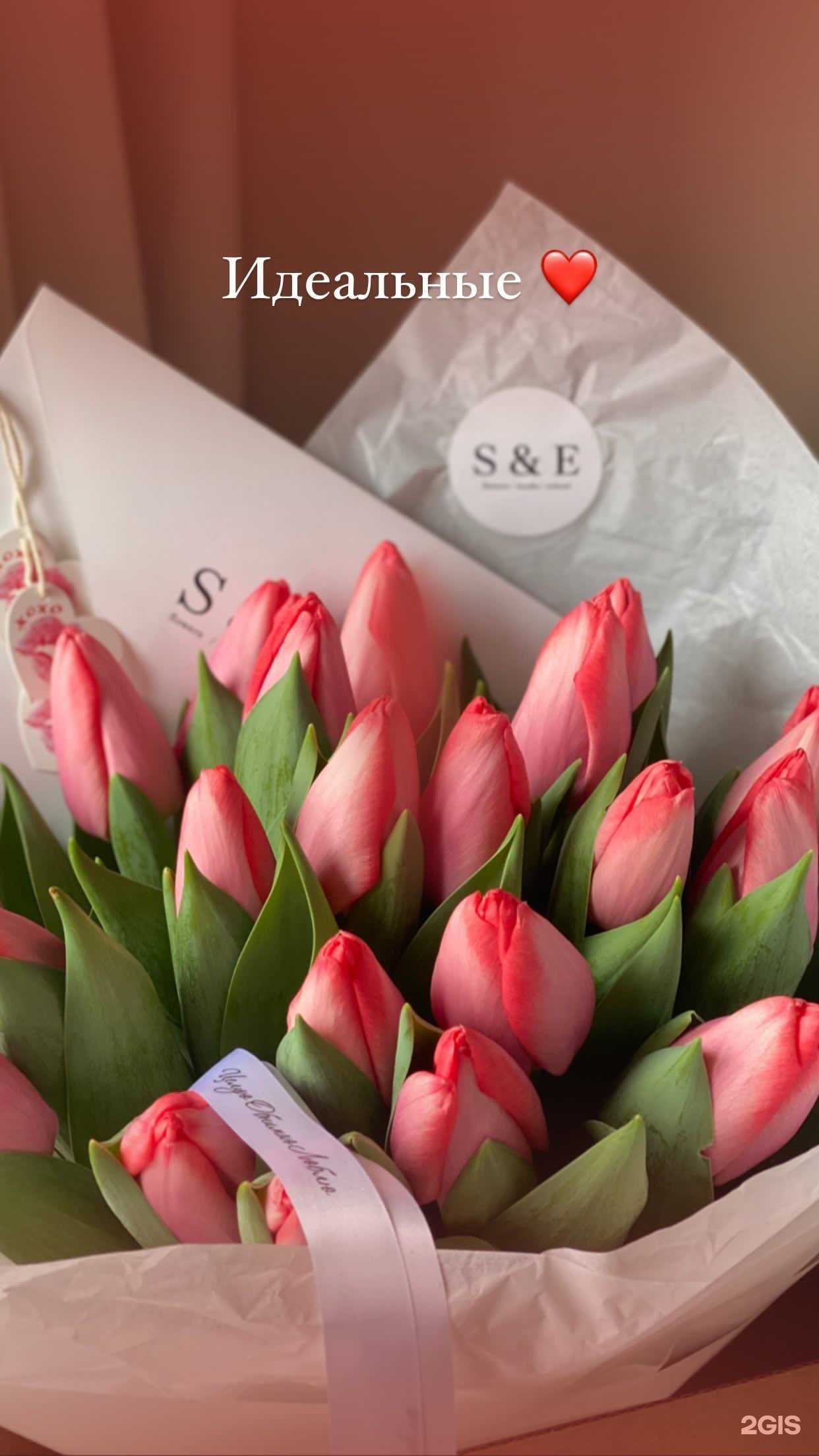 Отзывы на компанию Stephanie&Ester в Краснодаре c фото